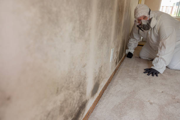 Best Biohazard Mold Removal  in Willow Grove, PA