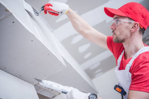 Best Black Mold Removal  in Willow Grove, PA